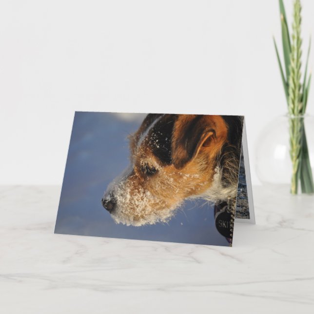 Valentinsgrußform der Hund Feiertagskarte (Vorderseite)