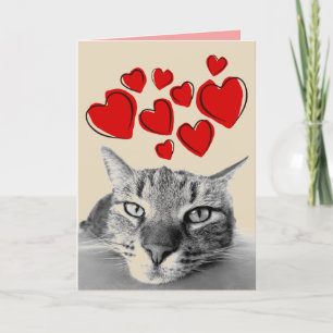 VALENTINSKARTEN MIT GETIGERTER KATZE FEIERTAGSKARTE