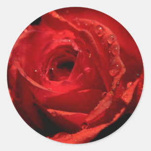 Valentinstag-Aufkleber Runder Aufkleber