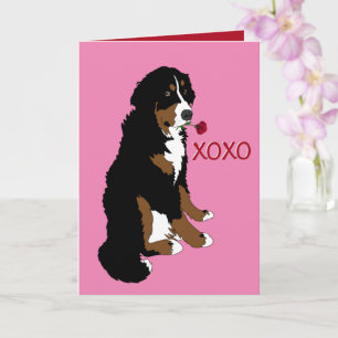 Valentinstag Bernese Mountain Dog Karte