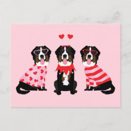 Valentinstag Bernese Mountain Hunde Postkarte