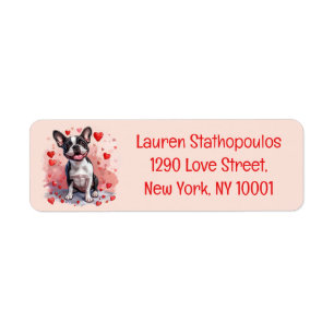 Valentinstag Boston Terrier Dog