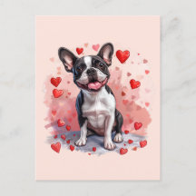 Valentinstag Boston Terrier Dog