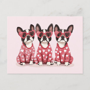 Valentinstag Boston Terrier Dogs Feiertagspostkarte