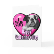 Valentinstag-Boston-Terrier