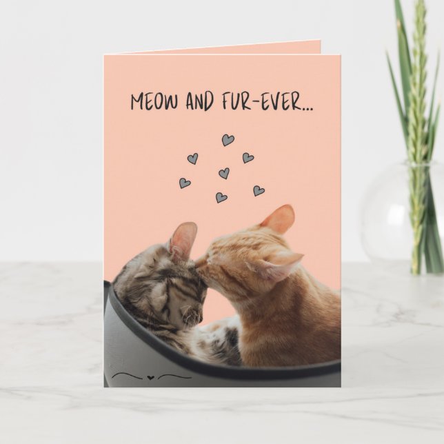 Valentinstag Card, Meow und Pelever Karte (Vorderseite)