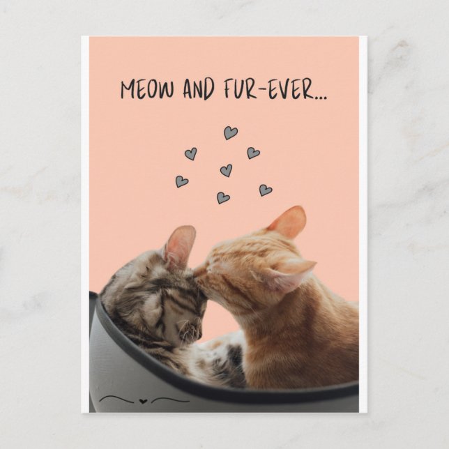 Valentinstag Card, Meow und Pelever Postkarte (Vorderseite)