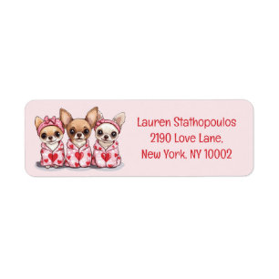 Valentinstag Chihuahua Dogs