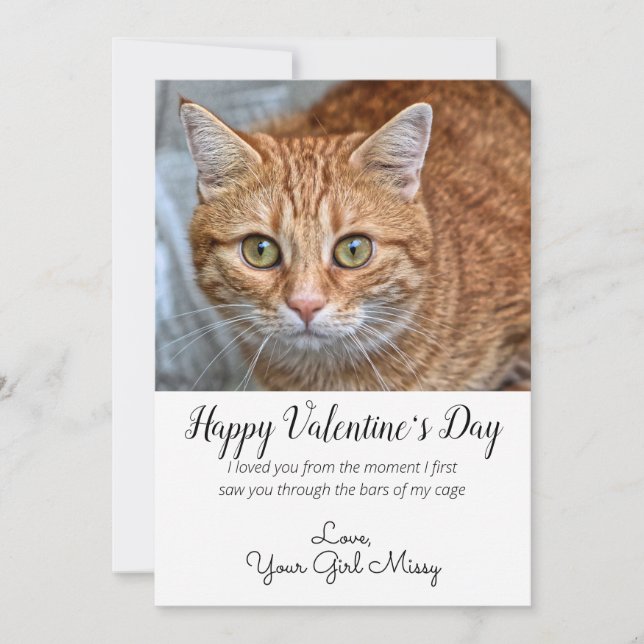 Valentinstag Custom Cat Foto Feiertagskarte (Vorderseite)