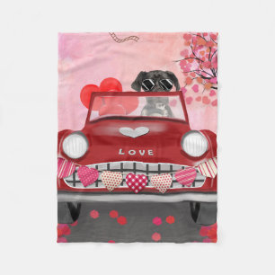 Valentinstag-Delikatesse Fleecedecke