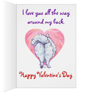 Valentinstag des weißen Spitzes