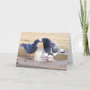 Valentinstag Feiertagskarte