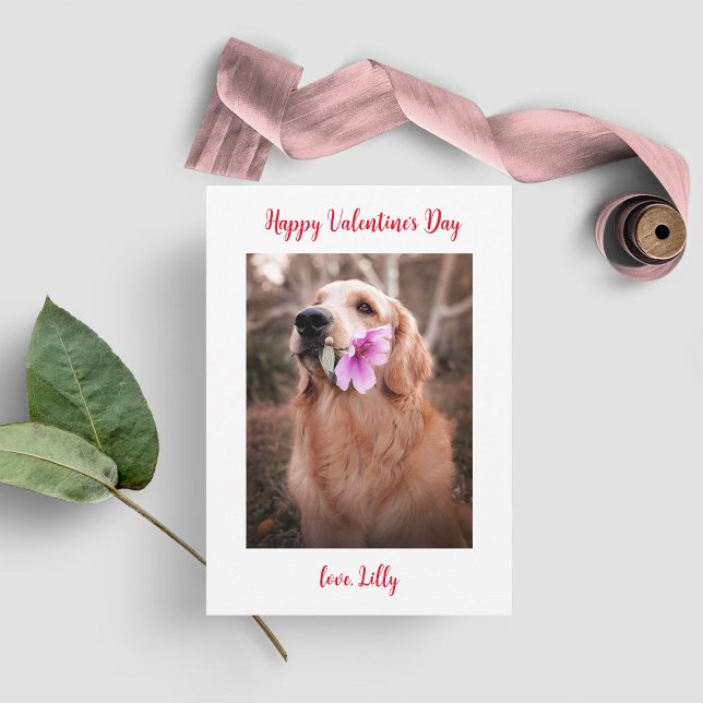 Valentinstag Foto Hund Feiertagskarte (Von Creator hochgeladen)