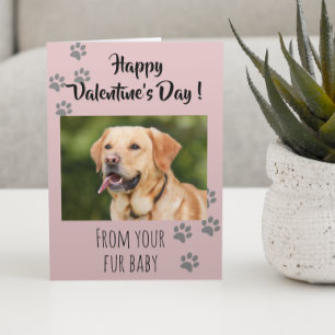 Valentinstag Foto Hunde Katze Pet Fur Baby Karte