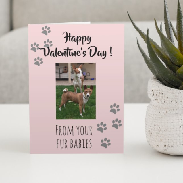 Valentinstag Foto Hunde Katze Pet Fur Babys Karte (Von Creator hochgeladen)
