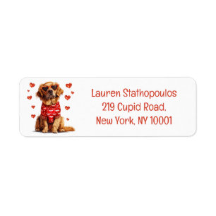 Valentinstag Golden Retriever Dog