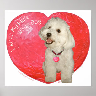 Valentinstag in Havanna Poster