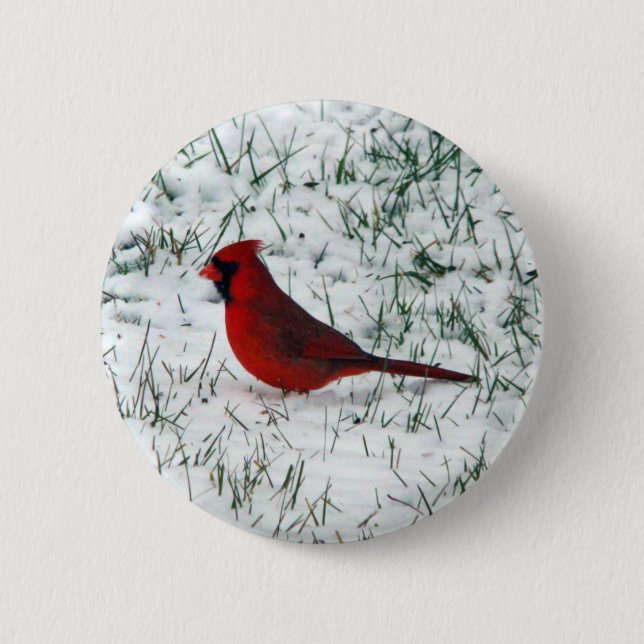 Valentinstag Kardinal Klassischer Rundaufkleber Button (Vorderseite)