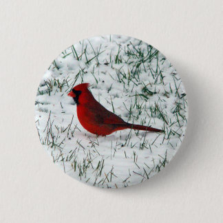 Valentinstag Kardinal Klassischer Rundaufkleber Button