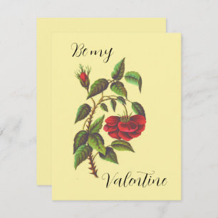 Valentinstag-Karte der Vintagen Rote Rose