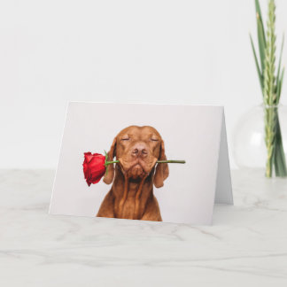 Valentinstag-Karte des niedlichen Hundes Feiertagskarte