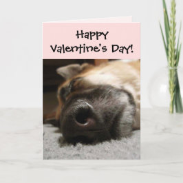 Valentinstag-Karte des schlafenden Deutschen Schäf Feiertagskarte
