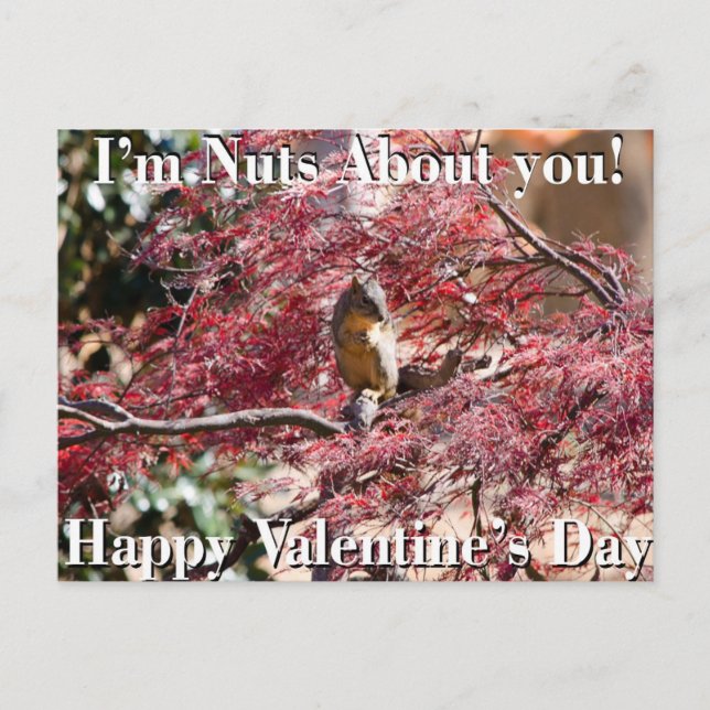 Valentinstag-Karte für Schule Feiertagspostkarte (Vorderseite)