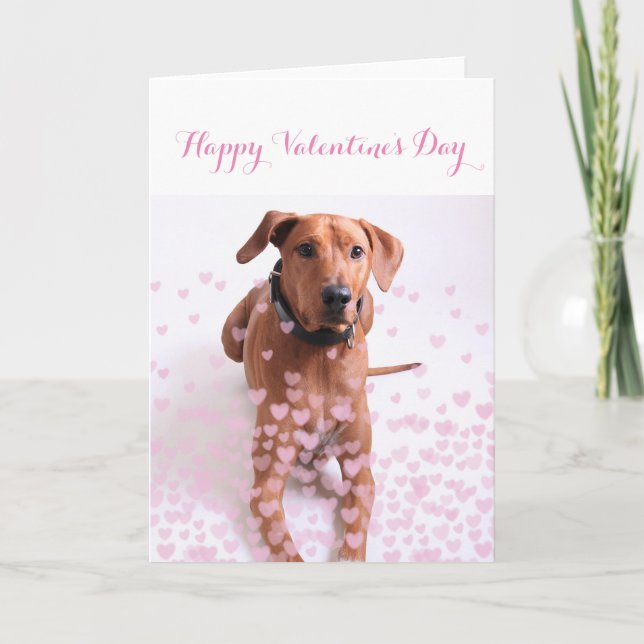 Valentinstag-Karte - Hund Karte (Vorderseite)