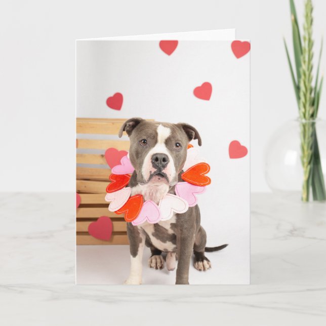 Valentinstag-Karte Karte (Vorderseite)