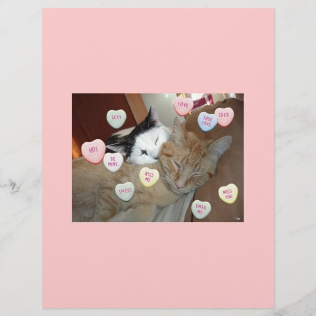Valentinstag-Kätzchen Flyer (Vorne)