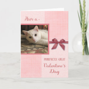 Valentinstag - Katze Kundenkarte Feiertagskarte