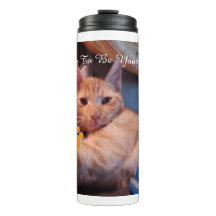 Valentinstag Katzenpfotenabdruck Humor Katzenfoto