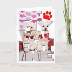 Valentinstag - Kirby & Shelby - Poodles Feiertagskarte