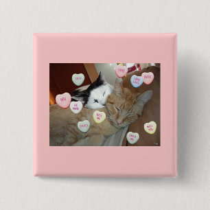 Valentinstag Kittens Button