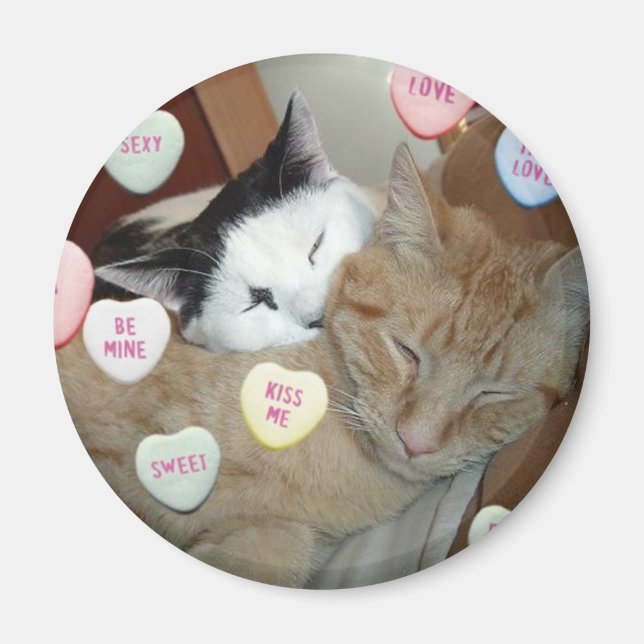 Valentinstag Kittens Magnet (Vorne)