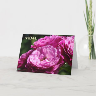 VALENTINSTAG Mama, du warst mein ERSTER VALENTINST Feiertagskarte