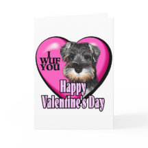 Valentinstag Miniatur Schnauzer