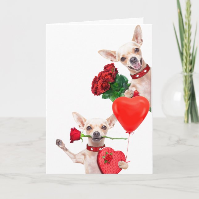Valentinstag Niedlich Funny Chihuahuas mit Rose Karte (Vorderseite)
