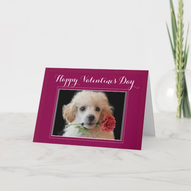 Valentinstag-Poodle-Grußkarte Feiertagskarte (Vorderseite)
