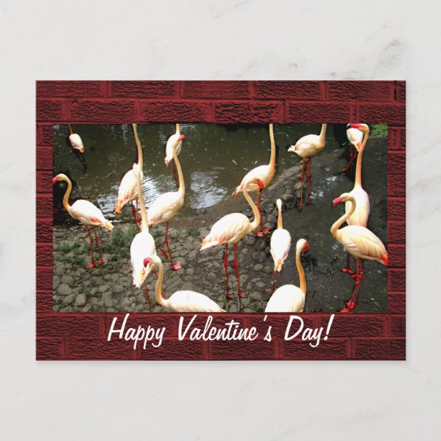 Valentinstag Postkarte (Vorderseite)