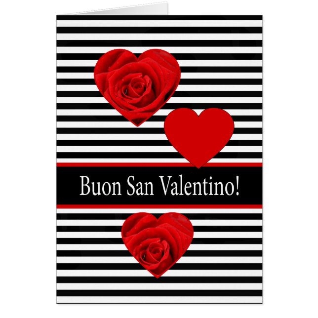 Valentinstag-Rose (Vorne)