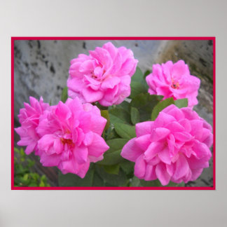 Valentinstag Rose-Poster Poster