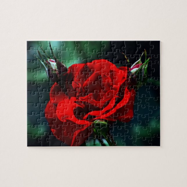 Valentinstag rote Rose Puzzle (Horizontal)