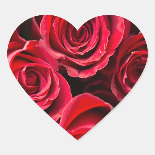 Valentinstag-Rote Rosen Herz-Aufkleber (Vorderseite)