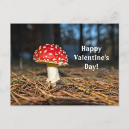 Valentinstag Roter Pilz Postkarte