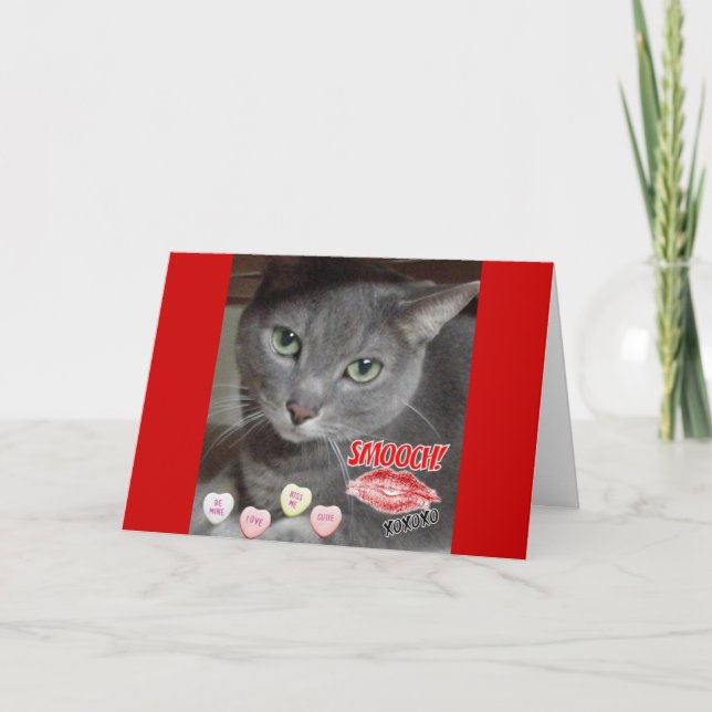 Valentinstag Russische Blaugraue Katze Feiertagskarte (Vorderseite)