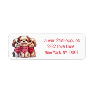 Valentinstag Shih Tzu Dogs