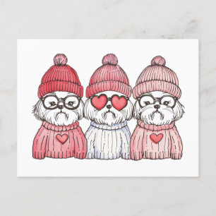 Valentinstag Shih Tzu Dogs Postkarte
