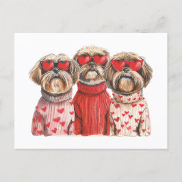 Valentinstag Shih Tzu Dogs Postkarte