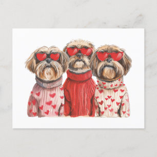 Valentinstag Shih Tzu Dogs Postkarte